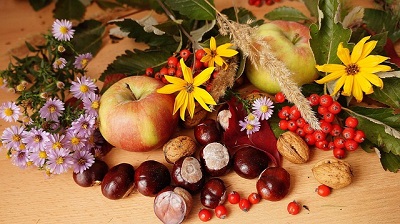 Rencontre de la châtaigne et des Saveurs Villefranche-du-Périgord