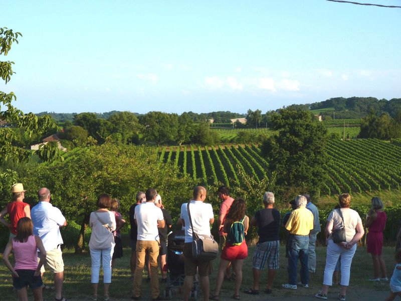 Repas chez le vigneron, au Domaine Dou Bernès Domaine Dou bernès Aydie