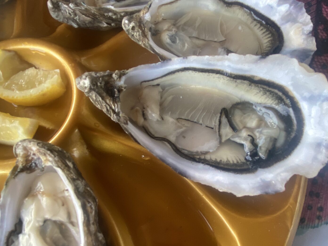 Péniche Coquilles Club, port du Lyvet, écluse du Châtelier