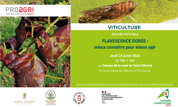 Réunion technique – Flavescence dorée : réglementation et moyens de lutte, Cave de Saint-Désirat, 6 rue du Champ de l’Homme, Sarras (07), Sarras