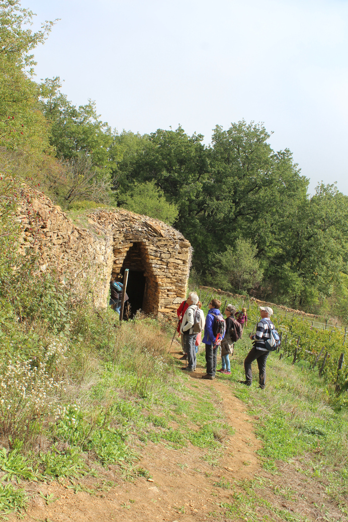 Revisitons le Sentier des Cabornes Tour Risler Poleymieux-au-Mont-d'Or