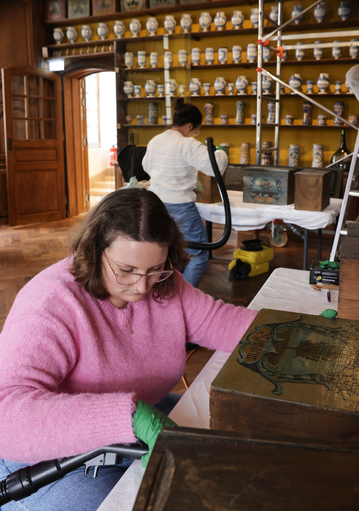 S.O.S collections: conserver l’inconservable, Musée Saint-Loup (Beaux-Arts et archéologie, Muséum d’histoire naturelle), Troyes