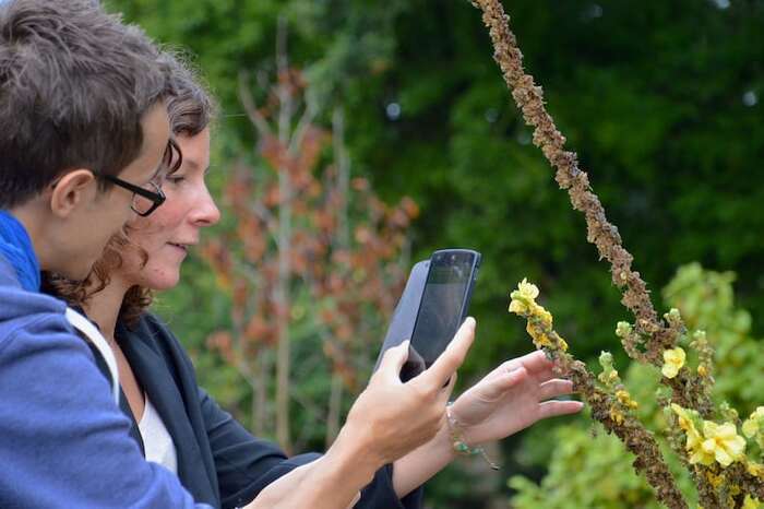 Sauvage de ma Rue – Initiation aux sciences participatives !, EPI des Longs Champs, Rennes