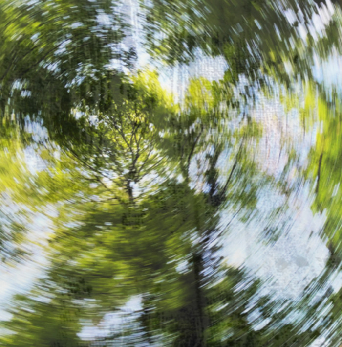S'enforester- Introduction à la scénographie Théâtre de l'Orangerie Genève