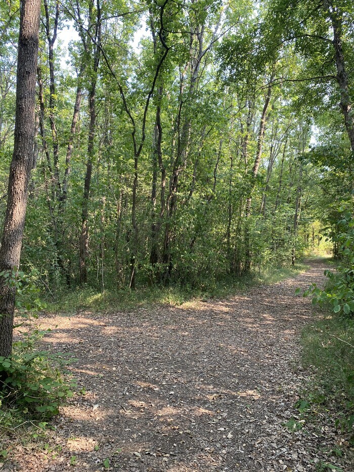 Sentier ludique et connecté « Explorama » à l’Asinerie du Baudet du Poitou, Asinerie du Baudet du Poitou, Dampierre-sur-Boutonne