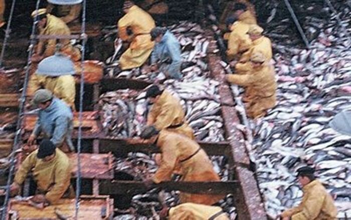Si le patrimoine m'était conté... Les Terre-Neuvas Médiathèque de Fréhel Fréhel
