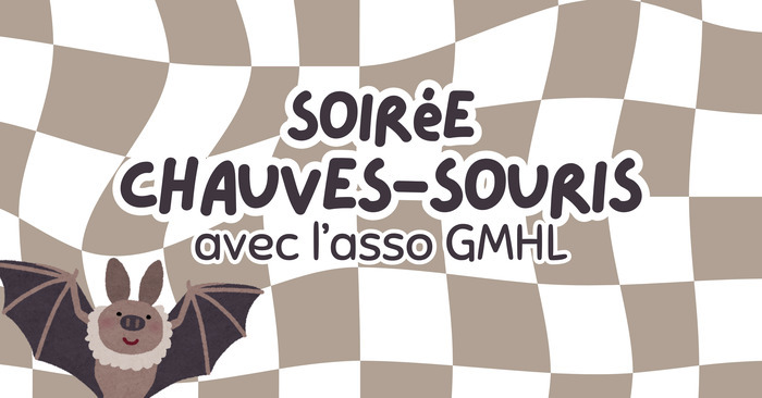– Soirée chauves-souris -, La Ruelle, Ségur-le-Château