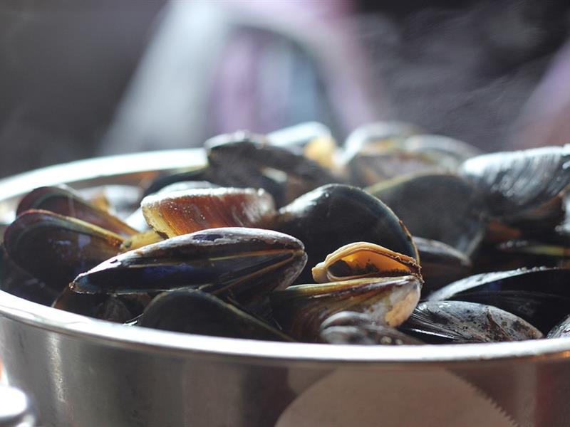 Soirée Moules Frites Wasselonne