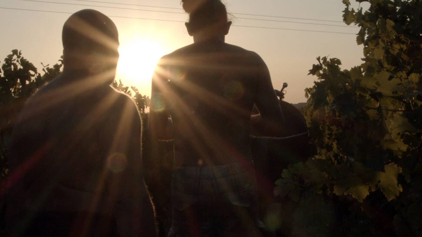 SOIRÉE VIGNERONNE DÉGUSTATION DE VINS ET PROJECTION FILM La genette verte Florac Trois Rivières