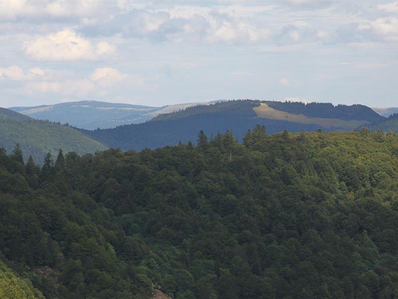 Sortie Histoire des paysages du Ballon d’Alsace Sewen
