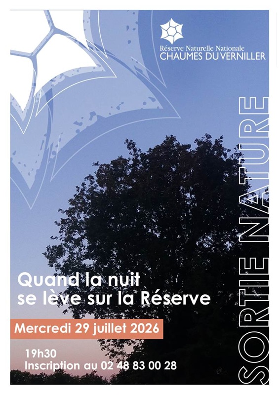 Sortie Nature Balade Crépusculaire au Coeur de la Réserve Naturelle des Chaumes du Verniller  Saint-Germain-du-Puy