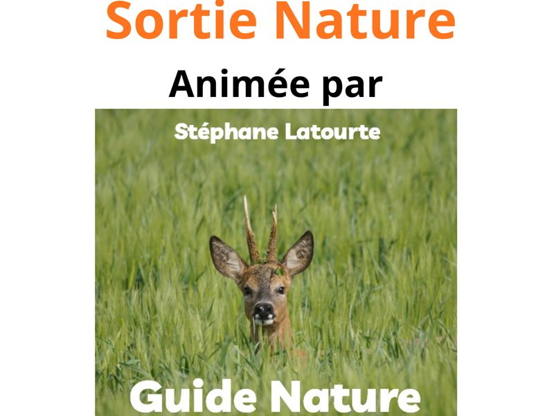 Sortie nature 20 Rue du Moulin Brabant-le-Roi 2026-08-30