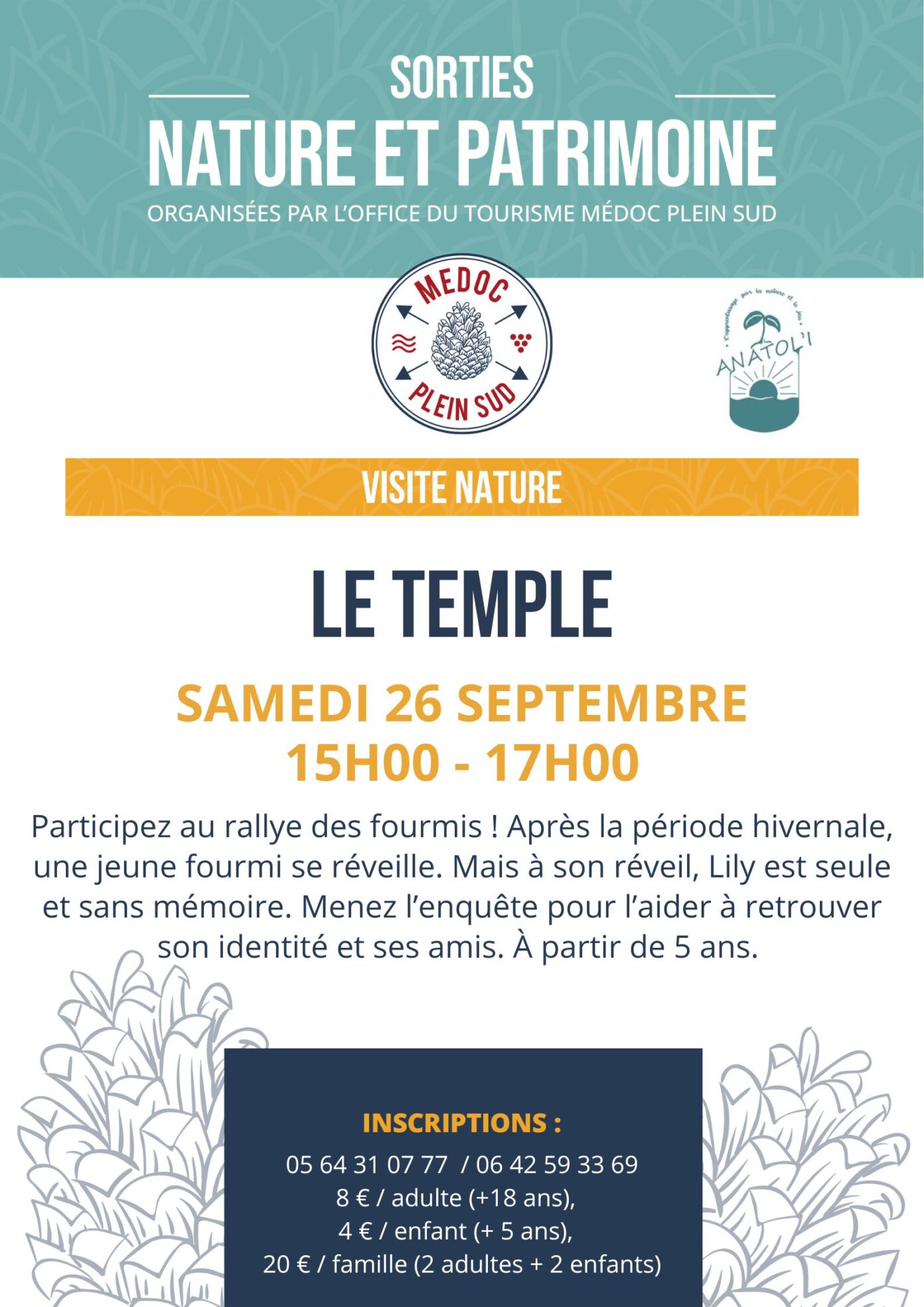 Sortie nature. Rallye des fourmis  Le Temple
