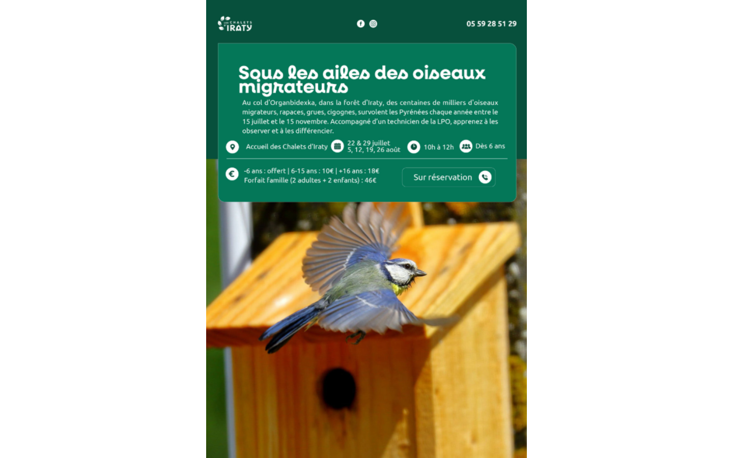 Sous les ailes des oiseaux migrateurs D19 Larrau