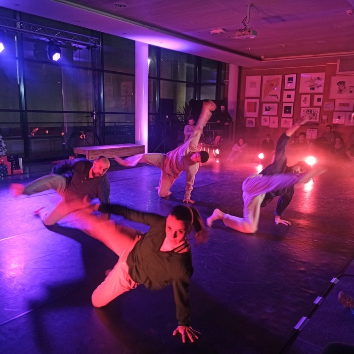 Spectacle de danse Musée d'Art