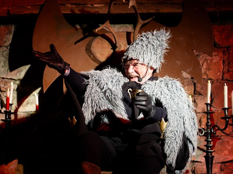 Spectacle déambulatoire de Noël Le souffle des étoiles Wissembourg