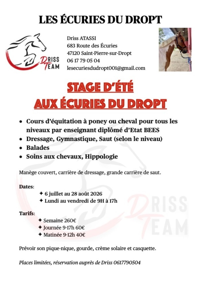 Stage d'été Les Écuries du Dropt Saint-Pierre-sur-Dropt