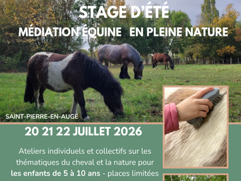 Stage d&rsquo;été médiation équine en plein nature  Saint-Pierre-en-Auge