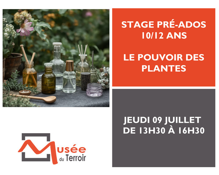 Stage pré-ados 10/12 ans : le pouvoir des plantes Musée du Terroir Villeneuve-d'Ascq