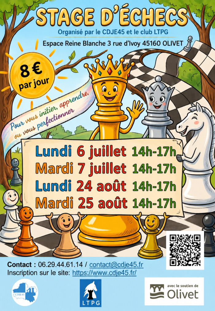 Stages d'échecs vacances d'été Espace Reine Blanche Olivet
