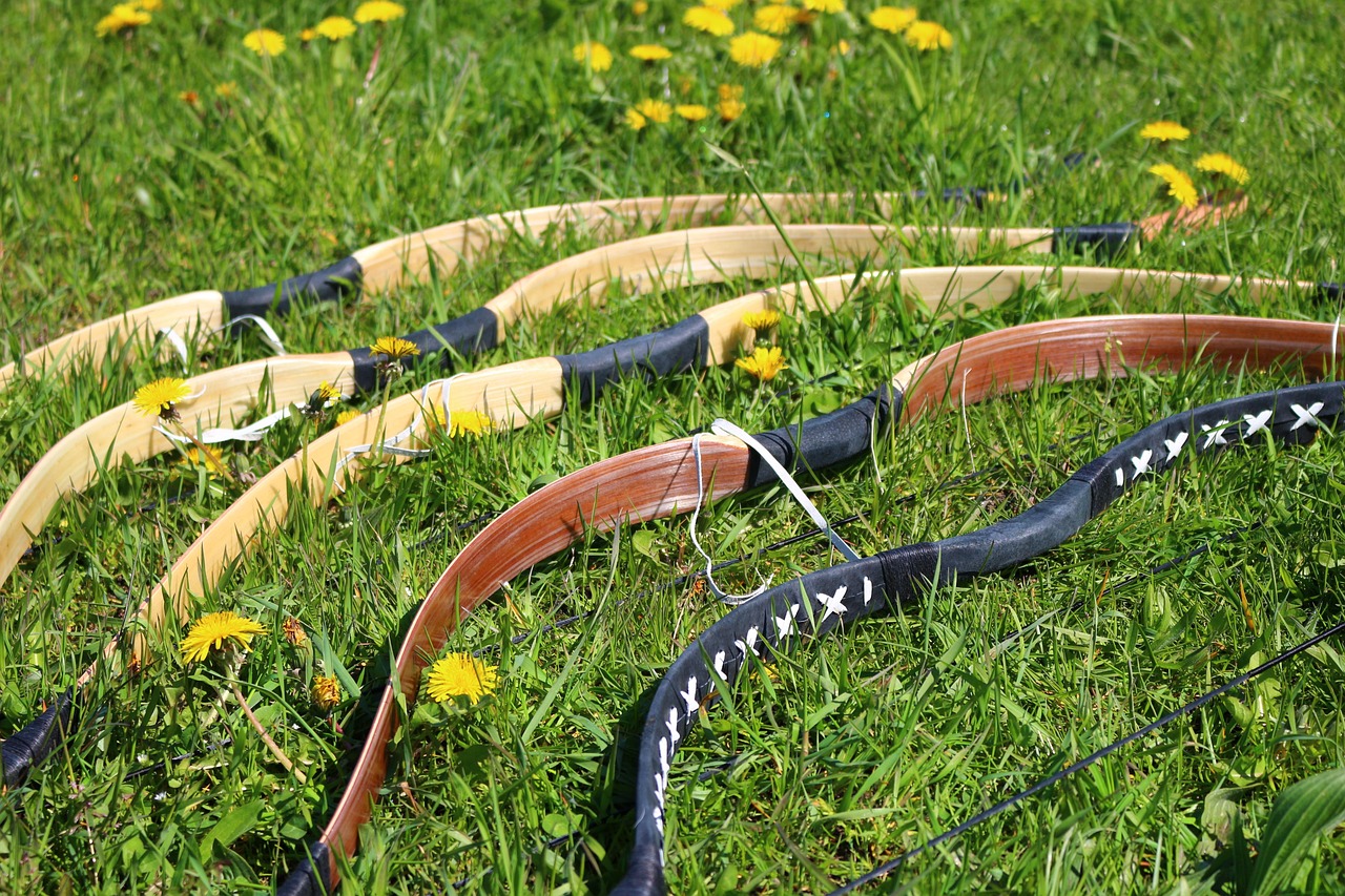 Tir à l'arc Voie Verte Champagnac-la-Rivière 2026-08-28