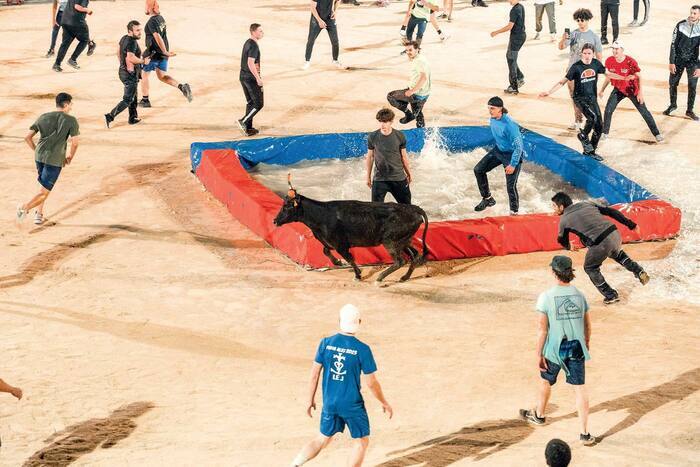 Toro piscine, Arènes du Tempéras, Alès