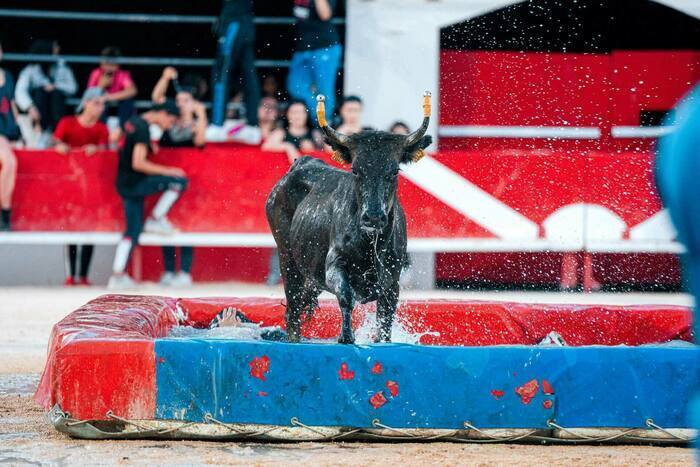 Toro piscine Quartier des Cévennes Alès