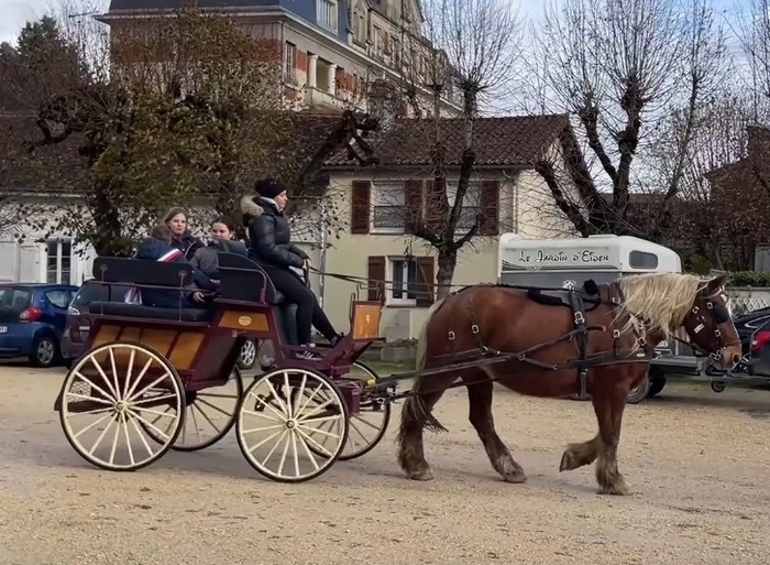 Tour en calèche dans le parc du château Château du Grand Jardin Joinville