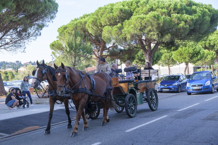 Tour en calèches autour du marché, Place du marché, Castanet-Tolosan