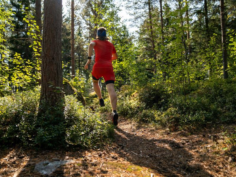 Trail du Fleckenstein  Lembach