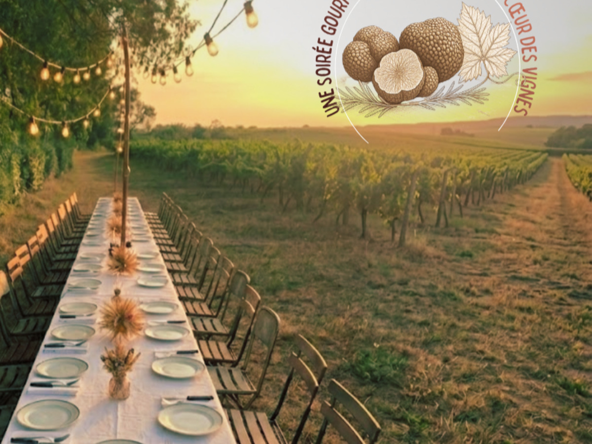 TRUFFES D'ÉTÉ & SECRETS DE VIGNES Pezens 2026-07-25