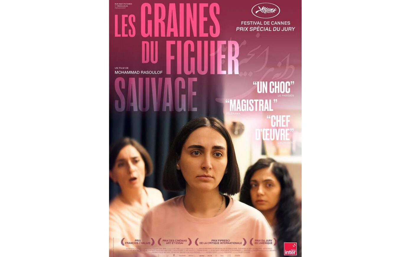 Un été au ciné Les graines du figuier sauvage (VOSTFR) Parc Ridgway Pau