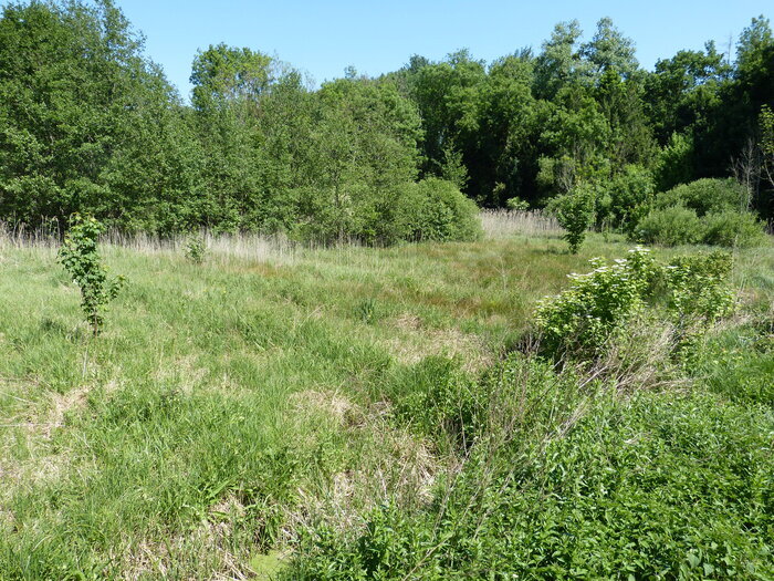 Un marais entre histoire et nature Marais de Maison Rouge Le Malesherbois