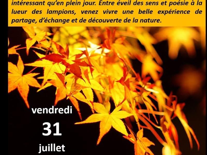 Un soir aux jardins oubliés  Val de Briey