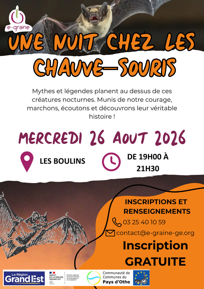 Une nuit chez les chauves-souris, Les Boulins, Maraye-en-Othe