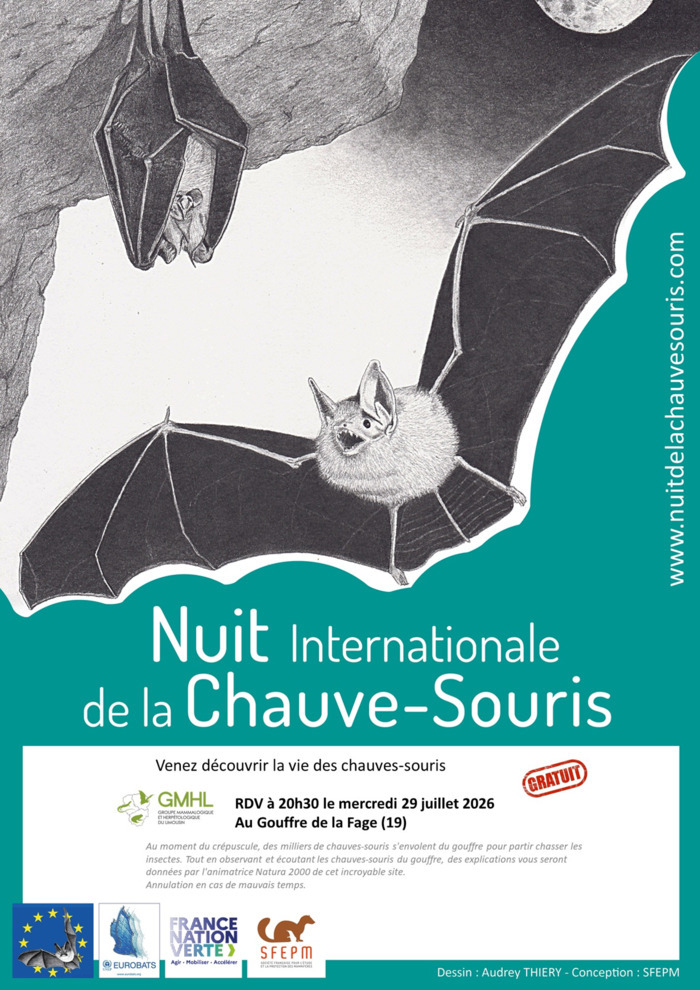 Venez découvrir la vie des chauves-souris Gouffre de la Fage Nespouls