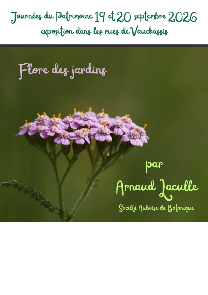 Venez voir une exposition sur la flore des jardins, Église de l&rsquo;Assomption-de-la-Sainte-Vierge, Vauchassis
