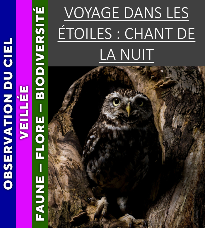 VERCORS – Voyage dans les étoiles : chant de la nuit, 1078 Clos de la Balme, 38250 Corrençon-en-Vercors, Corrençon-en-Vercors
