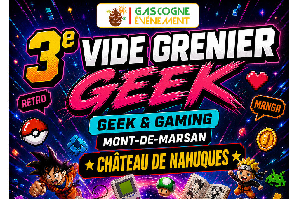 Vide Grenier Geek Château de Nahuques Mont-de-Marsan
