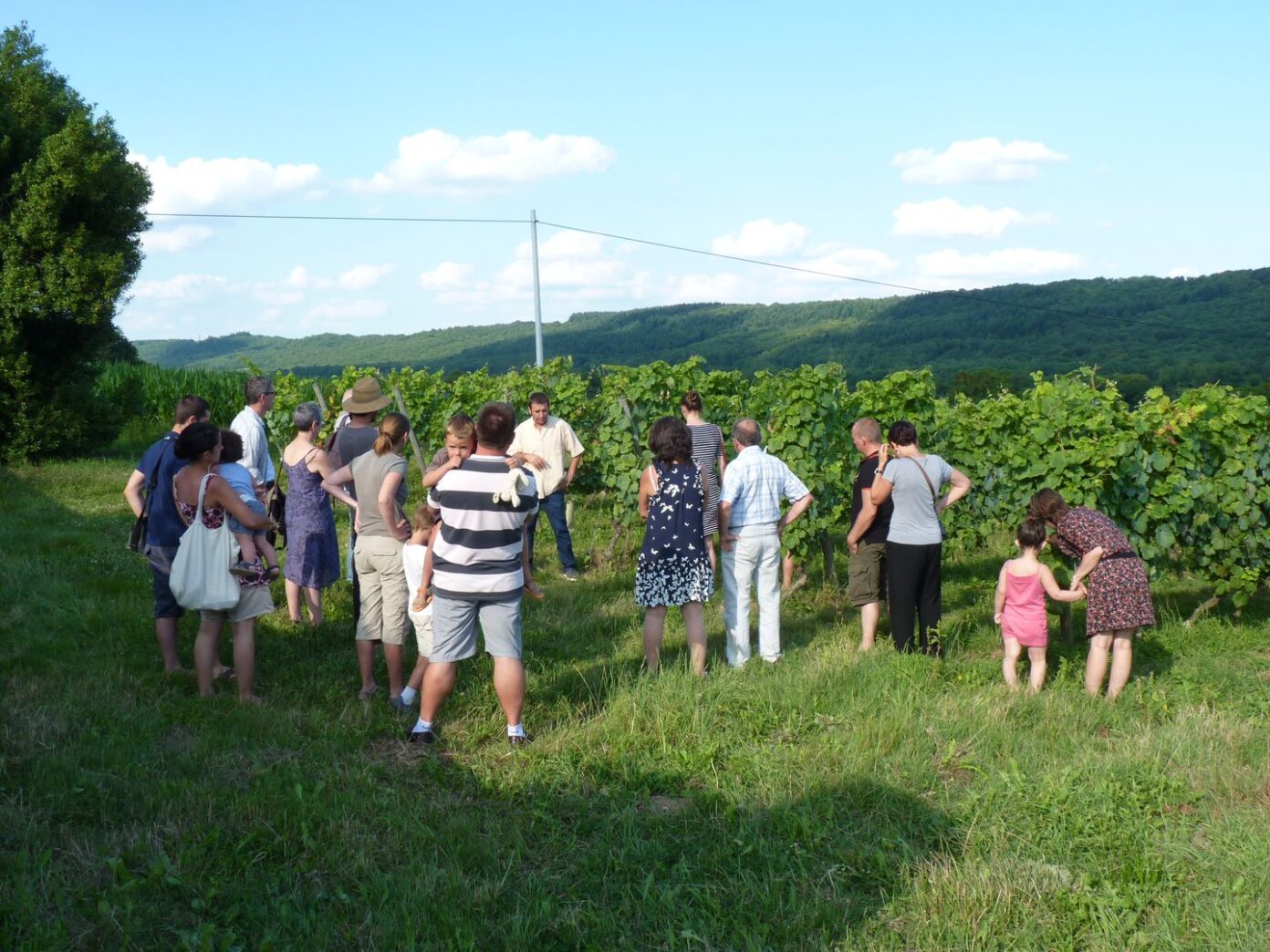 Vignes & gourmandises, au Clos Basté Clos Basté Moncaup