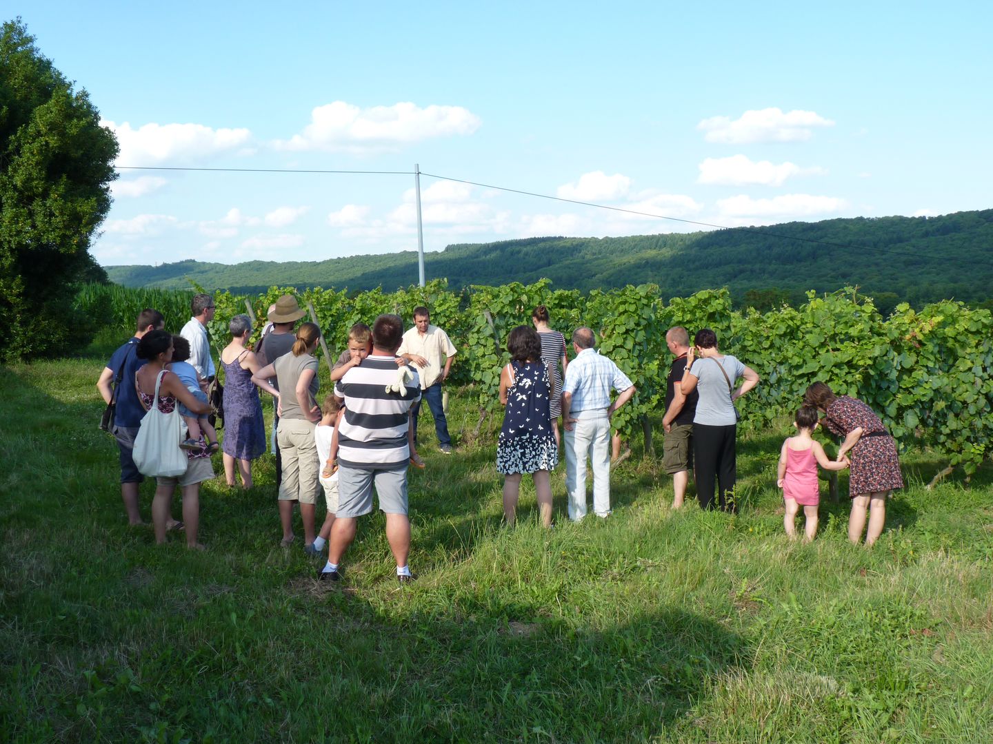 Vignes & gourmandises