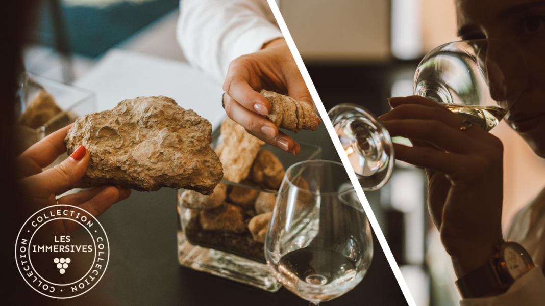 [Vignobles en scène!]: Atelier de dégustation Géo-sensoriel Exploration de nos terroirs sancerrois  Sancerre
