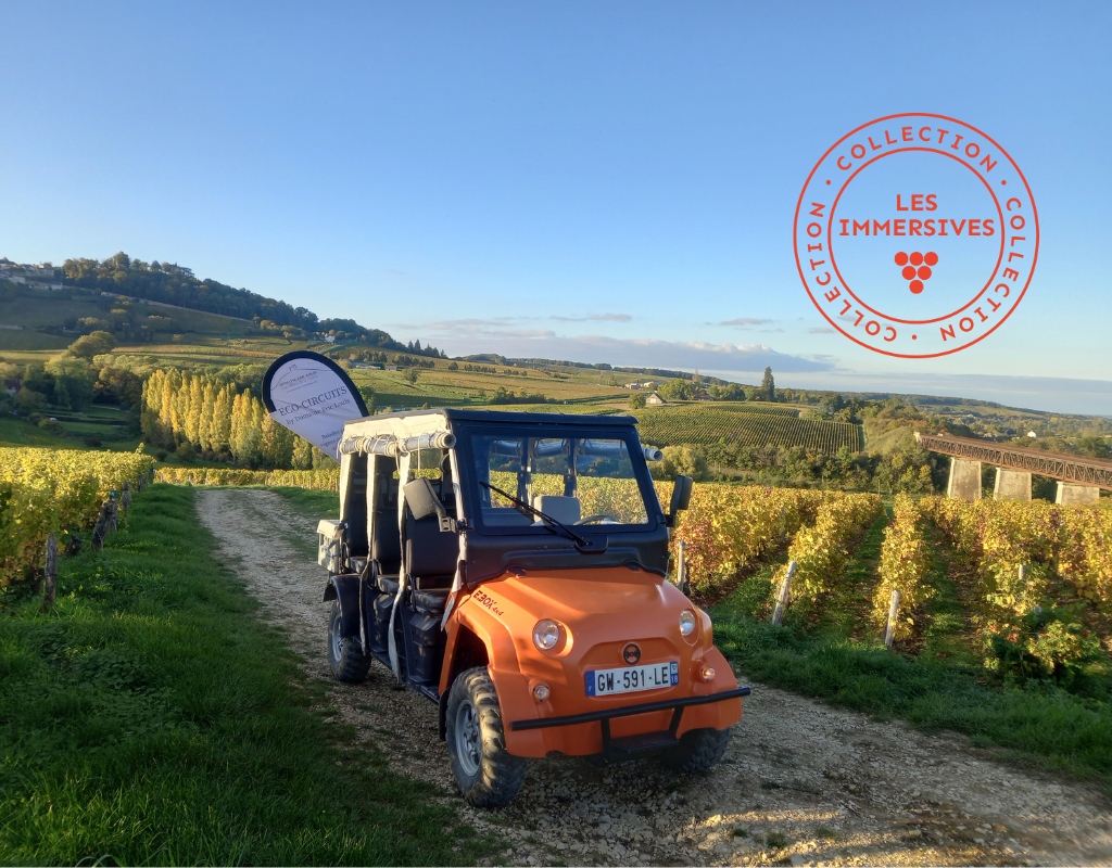 [Vignobles en Scène!]: Eco-circuit des terroirs de Sancerre  Thauvenay