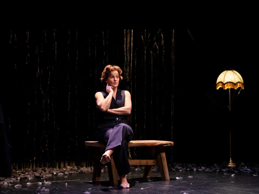 Villes en scène > La vie rêvée compagnie Innisfree Espace culturel Bernard Tréhet Brécey