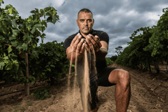 Vins d&rsquo;Australie, La Cité du Vin, Bordeaux