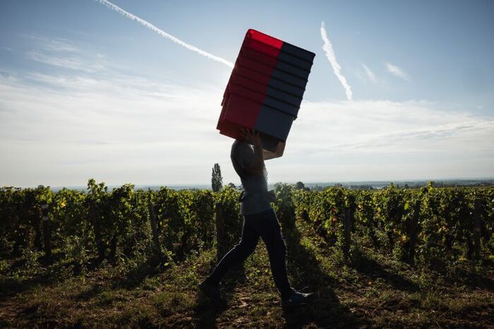 Vins de Bourgogne, La Cité du Vin, Bordeaux