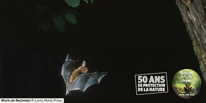 Vins et chauves-souris, Réserve naturelle des coteaux du Pont-Barré, Val-du-Layon