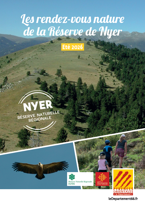 VIS MA VIE DE CHAUVE SOURIS  Nyer