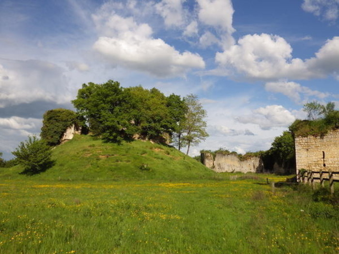 Visite accompagnée du château fort de Bommiers, Château fort de Bommiers, Bommiers