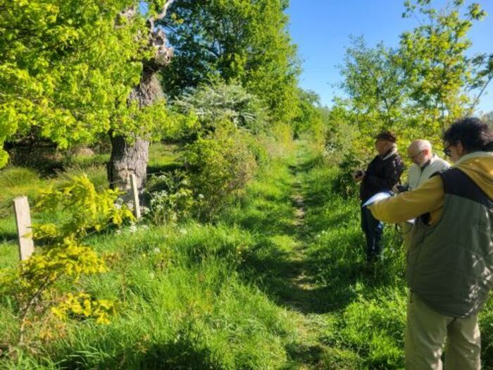 Visite commentée : 10 ans d&rsquo;observatoire photos sur l&rsquo;Espace Naturel Sensible La Corbelière, Espace Naturel Sensible La Corbelière de Moulins, Mauléon